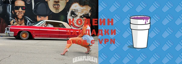 гашик Сатка